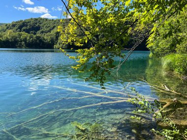 Plitvice Lakes Ulusal Parkı (UNESCO) - Plitvica, Hırvatistan veya Slikoviti krajobrazi i prekrasni motivi u nacionalnom parku Plitvicka jezera - Plitvice, Hrvatska