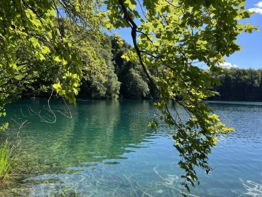 Plitvice Lakes Ulusal Parkı (UNESCO) - Plitvica, Hırvatistan veya Slikoviti krajobrazi i prekrasni motivi u nacionalnom parku Plitvicka jezera - Plitvice, Hrvatska