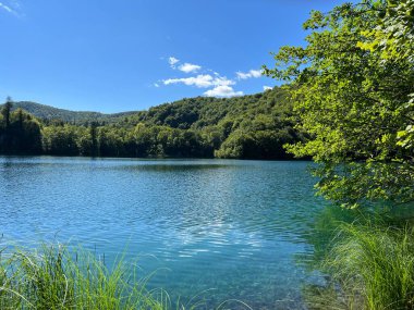 Plitvice Lakes Ulusal Parkı (UNESCO) - Plitvica, Hırvatistan veya Slikoviti krajobrazi i prekrasni motivi u nacionalnom parku Plitvicka jezera - Plitvice, Hrvatska
