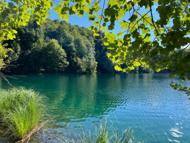 Plitvice Lakes Ulusal Parkı (UNESCO) - Plitvica, Hırvatistan veya Slikoviti krajobrazi i prekrasni motivi u nacionalnom parku Plitvicka jezera - Plitvice, Hrvatska