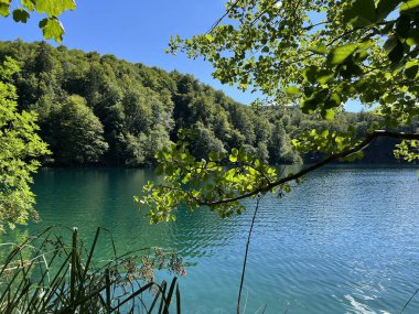 Plitvice Lakes Ulusal Parkı (UNESCO) - Plitvica, Hırvatistan veya Slikoviti krajobrazi i prekrasni motivi u nacionalnom parku Plitvicka jezera - Plitvice, Hrvatska
