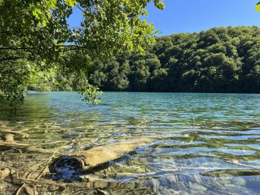 Plitvice Lakes Ulusal Parkı (UNESCO) - Plitvica, Hırvatistan veya Slikoviti krajobrazi i prekrasni motivi u nacionalnom parku Plitvicka jezera - Plitvice, Hrvatska