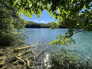 Plitvice Lakes Ulusal Parkı (UNESCO) - Plitvica, Hırvatistan veya Slikoviti krajobrazi i prekrasni motivi u nacionalnom parku Plitvicka jezera - Plitvice, Hrvatska