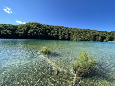 Plitvice Lakes Ulusal Parkı (UNESCO) - Plitvica, Hırvatistan veya Slikoviti krajobrazi i prekrasni motivi u nacionalnom parku Plitvicka jezera - Plitvice, Hrvatska