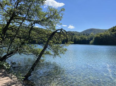 Plitvice Lakes Ulusal Parkı (UNESCO) - Plitvica, Hırvatistan veya Slikoviti krajobrazi i prekrasni motivi u nacionalnom parku Plitvicka jezera - Plitvice, Hrvatska