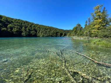 Plitvice Lakes Ulusal Parkı (UNESCO) - Plitvica, Hırvatistan veya Slikoviti krajobrazi i prekrasni motivi u nacionalnom parku Plitvicka jezera - Plitvice, Hrvatska