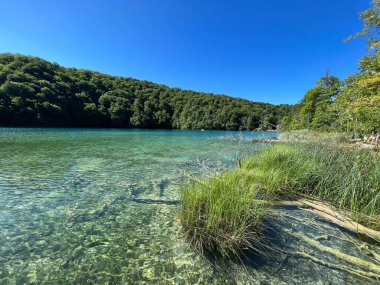 Plitvice Lakes Ulusal Parkı (UNESCO) - Plitvica, Hırvatistan veya Slikoviti krajobrazi i prekrasni motivi u nacionalnom parku Plitvicka jezera - Plitvice, Hrvatska