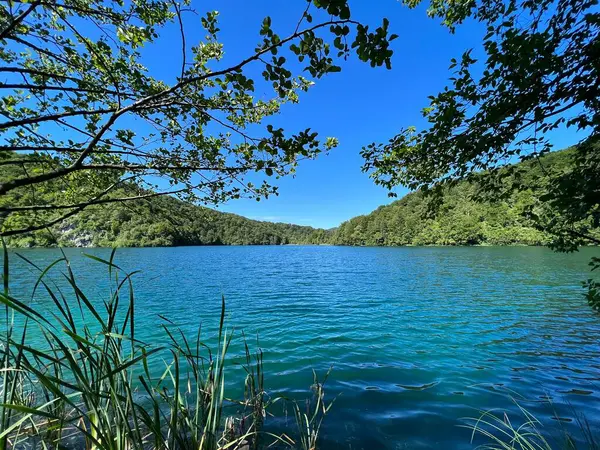 Plitvice Lakes Ulusal Parkı (UNESCO) - Plitvica, Hırvatistan veya Slikoviti krajobrazi i prekrasni motivi u nacionalnom parku Plitvicka jezera - Plitvice, Hrvatska