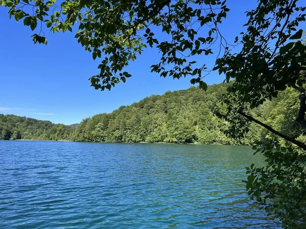 Paysage Environnement Parc National Des Lacs Plitvice Unesco Plitvica Croatie — Photo