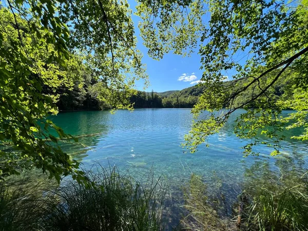 Tájkép Környezet Plitvicei Tavak Nemzeti Park Unesco Plitvica Horvátország Vagy — Stock Fotó