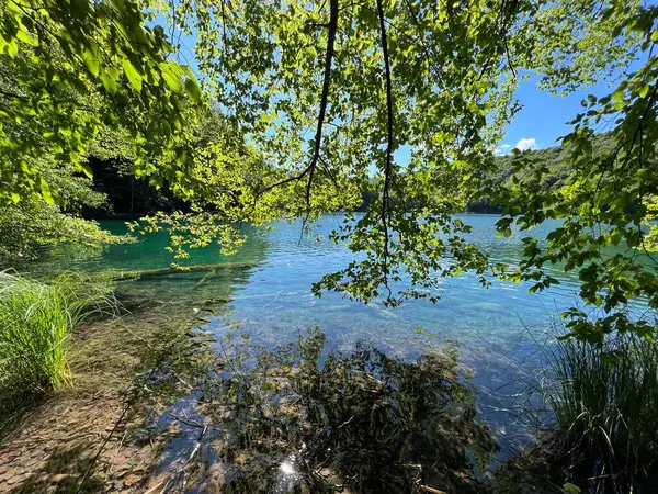 プリトヴィス湖国立公園 ユネスコ の風景と環境 プリトヴィツィカ クロアチア またはクロアチアのコブラジー イスラエルナヴィヴィヴィウ プリトヴィツェーラ プリトヴィツェス — ストック写真