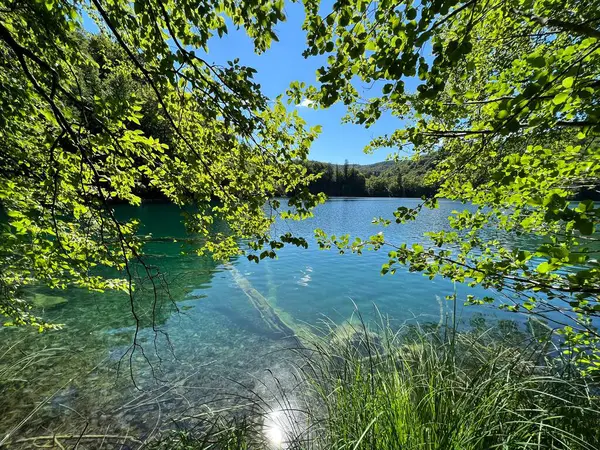Krajobraz Środowisko Plitwickiego Parku Narodowego Unesco Plitvica Chorwacja Lub Slikoviti — Zdjęcie stockowe