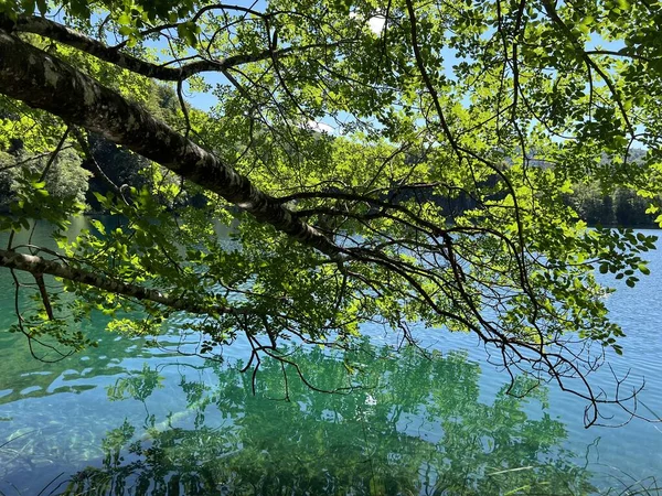 Krajina Prostředí Národního Parku Plitvická Jezera Unesco Plitvica Chorvatsko Nebo — Stock fotografie