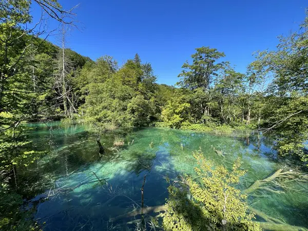 Plitvice Lakes Ulusal Parkı (UNESCO) - Plitvica, Hırvatistan veya Slikoviti krajobrazi i prekrasni motivi u nacionalnom parku Plitvicka jezera - Plitvice, Hrvatska