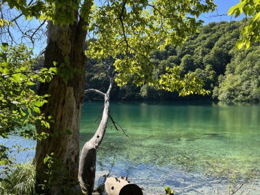 Plitvice Lakes Ulusal Parkı (UNESCO) - Plitvica, Hırvatistan / Slikoviti krajobrazi i prekrasni motivi iz nacionalnog parka Plitvicka jezera - Plitvice, Hrvatska