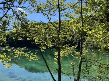 Plitvice Lakes Ulusal Parkı (UNESCO) - Plitvica, Hırvatistan / Slikoviti krajobrazi i prekrasni motivi iz nacionalnog parka Plitvicka jezera - Plitvice, Hrvatska