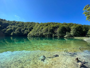 Plitvice Lakes Ulusal Parkı (UNESCO) - Plitvica, Hırvatistan / Slikoviti krajobrazi i prekrasni motivi iz nacionalnog parka Plitvicka jezera - Plitvice, Hrvatska