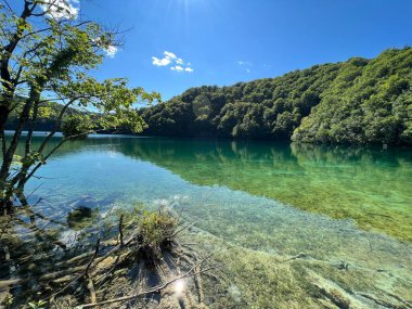 Plitvice Lakes Ulusal Parkı (UNESCO) - Plitvica, Hırvatistan / Slikoviti krajobrazi i prekrasni motivi iz nacionalnog parka Plitvicka jezera - Plitvice, Hrvatska