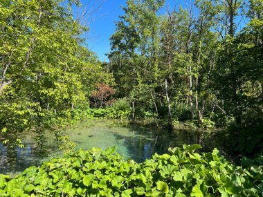 Plitvice Lakes Ulusal Parkı (UNESCO) - Plitvica, Hırvatistan / Slikoviti krajobrazi i prekrasni motivi iz nacionalnog parka Plitvicka jezera - Plitvice, Hrvatska