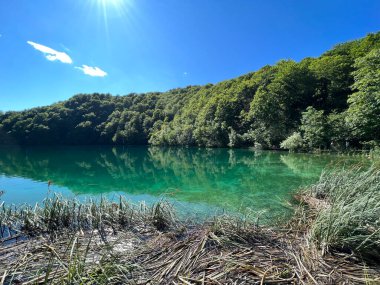 Plitvice Lakes Ulusal Parkı (UNESCO) - Plitvica, Hırvatistan / Slikoviti krajobrazi i prekrasni motivi iz nacionalnog parka Plitvicka jezera - Plitvice, Hrvatska