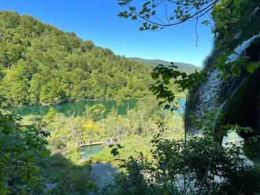 Plitvice Lakes Ulusal Parkı (UNESCO) - Plitvica, Hırvatistan / Slikoviti krajobrazi i prekrasni motivi iz nacionalnog parka Plitvicka jezera - Plitvice, Hrvatska