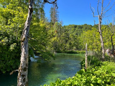 Plitvice Lakes Ulusal Parkı (UNESCO) - Plitvica, Hırvatistan / Slikoviti krajobrazi i prekrasni motivi iz nacionalnog parka Plitvicka jezera - Plitvice, Hrvatska