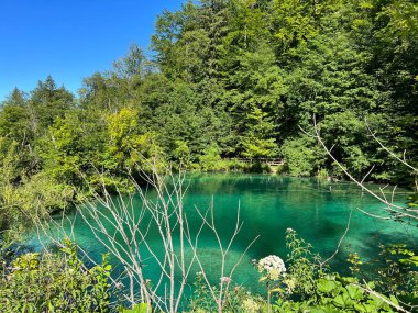 Plitvice Lakes Ulusal Parkı (UNESCO) - Plitvica, Hırvatistan / Slikoviti krajobrazi i prekrasni motivi iz nacionalnog parka Plitvicka jezera - Plitvice, Hrvatska