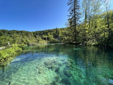 Plitvice Lakes Ulusal Parkı (UNESCO) - Plitvica, Hırvatistan / Slikoviti krajobrazi i prekrasni motivi iz nacionalnog parka Plitvicka jezera - Plitvice, Hrvatska