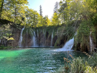 Plitvice Lakes Ulusal Parkı (UNESCO) - Plitvica, Hırvatistan / Slikoviti krajobrazi i prekrasni motivi iz nacionalnog parka Plitvicka jezera - Plitvice, Hrvatska