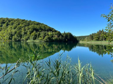 Plitvice Lakes Ulusal Parkı (UNESCO) - Plitvica, Hırvatistan / Slikoviti krajobrazi i prekrasni motivi iz nacionalnog parka Plitvicka jezera - Plitvice, Hrvatska