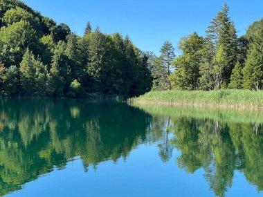 Plitvice Lakes Ulusal Parkı (UNESCO) - Plitvica, Hırvatistan / Slikoviti krajobrazi i prekrasni motivi iz nacionalnog parka Plitvicka jezera - Plitvice, Hrvatska