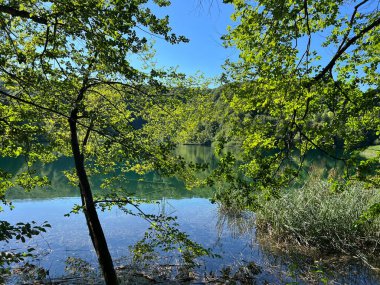 Plitvice Lakes Ulusal Parkı (UNESCO) - Plitvica, Hırvatistan / Slikoviti krajobrazi i prekrasni motivi iz nacionalnog parka Plitvicka jezera - Plitvice, Hrvatska