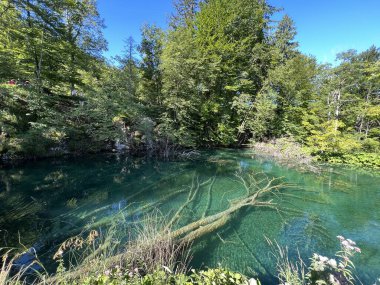 Plitvice Lakes Ulusal Parkı (UNESCO) - Plitvica, Hırvatistan / Slikoviti krajobrazi i prekrasni motivi iz nacionalnog parka Plitvicka jezera - Plitvice, Hrvatska