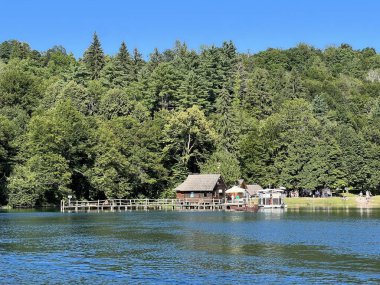 Plitvice Lakes Ulusal Parkı (UNESCO) - Plitvica, Hırvatistan / Slikoviti krajobrazi i prekrasni motivi iz nacionalnog parka Plitvicka jezera - Plitvice, Hrvatska