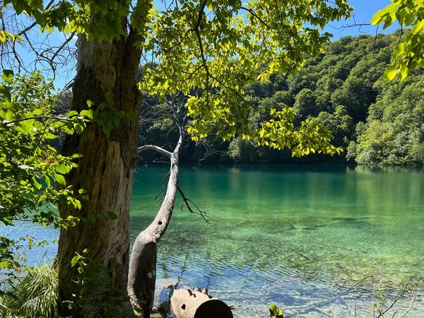 Plitvice Lakes Ulusal Parkı (UNESCO) - Plitvica, Hırvatistan / Slikoviti krajobrazi i prekrasni motivi iz nacionalnog parka Plitvicka jezera - Plitvice, Hrvatska