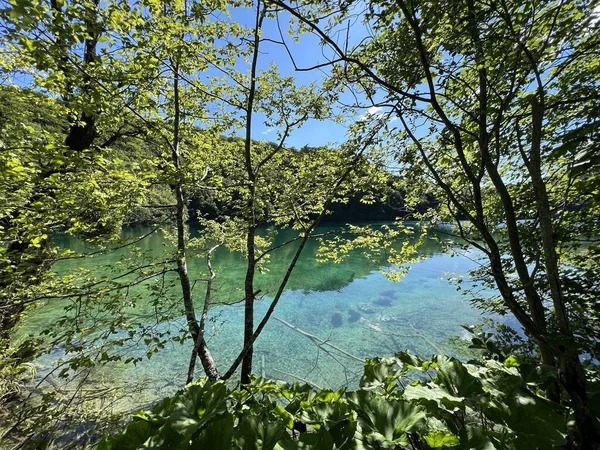 プリトヴィス湖国立公園 ユネスコ の風景と環境 プリトヴィツィカ クロアチア クロアチア プロヴィツィツォコブラジーイスラスナヴィヴィヴィヴィツィオスカパリトヴィツェーラ プリトヴィツィツェス — ストック写真