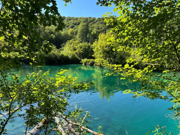 Plitvice Lakes Ulusal Parkı Unesco Plitvica Hırvatistan Slikoviti Krajobrazi Prekrasni — Stok fotoğraf