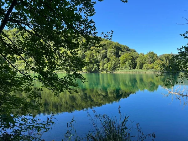 Paesaggio Ambiente Del Parco Nazionale Dei Laghi Plitvice Unesco Plitvica — Foto Stock