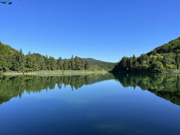 stock image Landscape and environment of Plitvice Lakes National Park (UNESCO) - Plitvica, Croatia / Slikoviti krajobrazi i prekrasni motivi iz nacionalnog parka Plitvicka jezera - Plitvice, Hrvatska