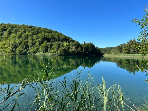 Paesaggio Ambiente Del Parco Nazionale Dei Laghi Plitvice Unesco Plitvica — Foto Stock