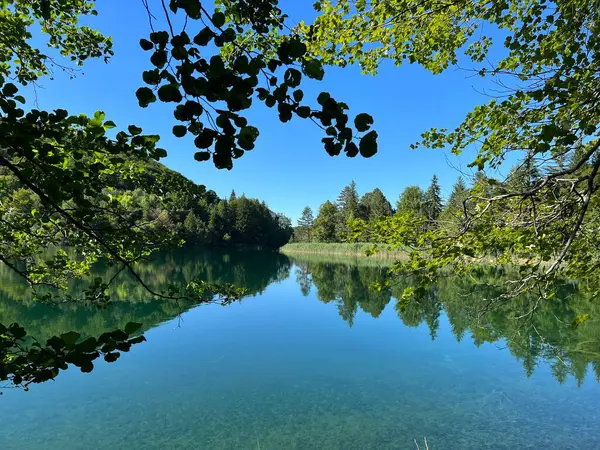 Krajobraz Środowisko Plitwickiego Parku Narodowego Unesco Plitvica Chorwacja Slikoviti Krajobrazi — Zdjęcie stockowe