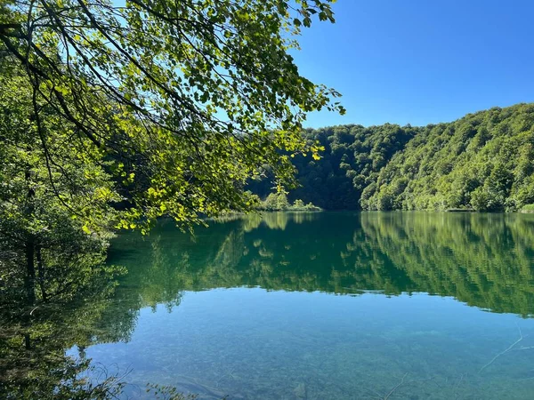 Ландшафт Навколишнє Середовище Національного Парку Озер Плітвіце Юнеско Плітвіца Хорватія — стокове фото