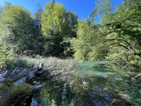 Plitvice Lakes Ulusal Parkı (UNESCO) - Plitvica, Hırvatistan / Slikoviti krajobrazi i prekrasni motivi iz nacionalnog parka Plitvicka jezera - Plitvice, Hrvatska