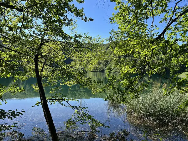 Krajobraz Środowisko Plitwickiego Parku Narodowego Unesco Plitvica Chorwacja Slikoviti Krajobrazi Zdjęcie Stockowe