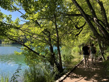 Plitvice Gölleri Ulusal Parkı 'ndaki göller ve orman boyunca tahta patikalar ve geçitler - Plitvica, Hırvatistan (Drvene staze i setnice u Nacionalnom parku Plitvicka jezera - Hrvatska)