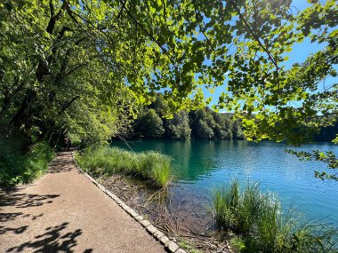 Plitvice Gölleri Ulusal Parkı 'ndaki göller ve orman boyunca tahta patikalar ve geçitler - Plitvica, Hırvatistan (Drvene staze i setnice u Nacionalnom parku Plitvicka jezera - Hrvatska)