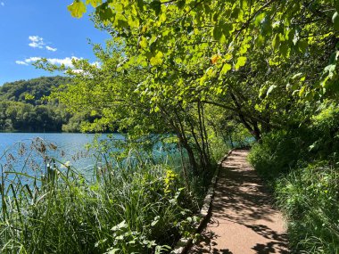Plitvice Gölleri Ulusal Parkı 'ndaki göller ve orman boyunca tahta patikalar ve geçitler - Plitvica, Hırvatistan (Drvene staze i setnice u Nacionalnom parku Plitvicka jezera - Hrvatska)
