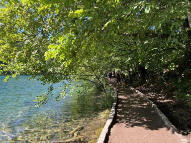 Plitvice Gölleri Ulusal Parkı 'ndaki göller ve orman boyunca tahta patikalar ve geçitler - Plitvica, Hırvatistan (Drvene staze i setnice u Nacionalnom parku Plitvicka jezera - Hrvatska)