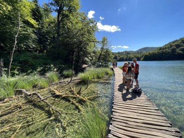 Plitvice Gölleri Ulusal Parkı 'ndaki göller ve orman boyunca tahta patikalar ve geçitler - Plitvica, Hırvatistan (Drvene staze i setnice u Nacionalnom parku Plitvicka jezera - Hrvatska)