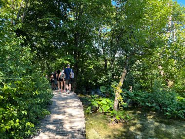 Plitvice Gölleri Ulusal Parkı 'ndaki göller ve orman boyunca tahta patikalar ve geçitler - Plitvica, Hırvatistan (Drvene staze i setnice u Nacionalnom parku Plitvicka jezera - Hrvatska)